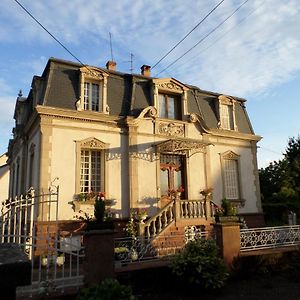 Hotel Chambre individuelle à lit double dans une maison de Maître de 1904 à Haguenau Exterior photo