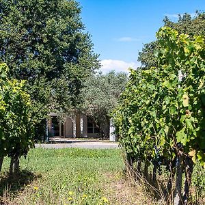 Bed and Breakfast Au détour des vignes à Ordonnac Exterior photo