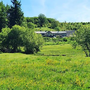 Maison d'hôtes Ranch du Haut-Languedoc à La Salvetat-sur-Agout Exterior photo