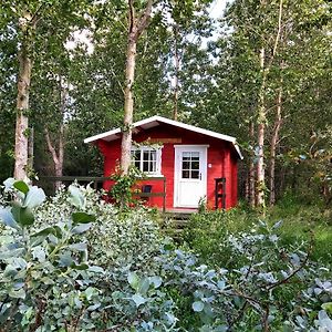 Appartement Bakkakot 3 Cozy Cabin In The Woods à Akureyri Exterior photo