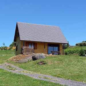 Villa Chalet Sancy à Saint-Genès-Champespe Exterior photo