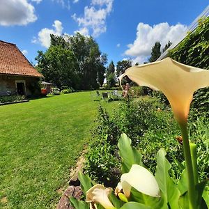 Bed and Breakfast La Flandre entre plaine, mer et marais à Rubrouck Exterior photo