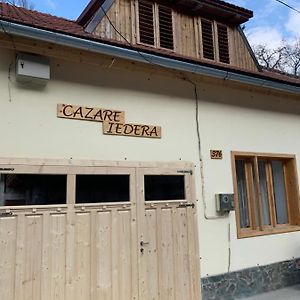 Hôtel Cazare Iedera à Sasca Montană Exterior photo