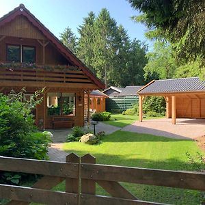 Villa 'T Holten Huus - Puur Genieten In Het Bos. à Norg Exterior photo