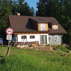 Appartement Byt Knezice U Vrchlabí Exterior photo