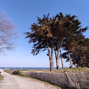 Appartement en rdc Port Haliguen Quiberon Exterior photo