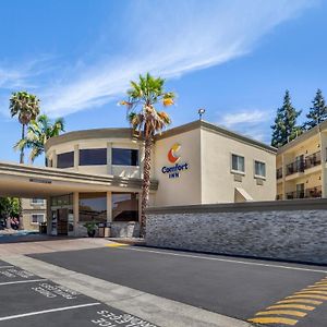 Comfort Inn Sunnyvale – Silicon Valley Exterior photo