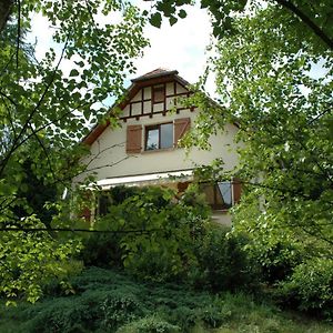 Bed and Breakfast Chambre et table d'hôtes du Chant des Sources à Wangenbourg-Engenthal Exterior photo