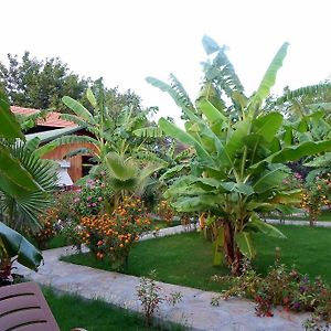 Hotel Estelar Bungalow à Çıralı Exterior photo