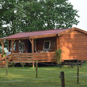 Appartement Tiny House Het Reebokje à Vriescheloo Exterior photo