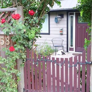 Cycle Inn Bed And Breakfast Langford Exterior photo