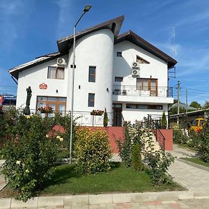 Hotel Pensiunea Valea Ilenei à Letcani Exterior photo