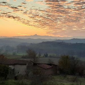 Bed and Breakfast Casapaletti Country House à Alfiano Natta Exterior photo