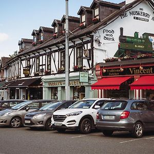 Muskerry Arms Bar And B&B Blarney Exterior photo