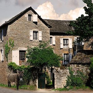 Maison d'Hôtes La Singulière Sévérac-le-Château Exterior photo