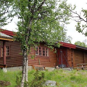 Villa Bjornehiet Havsdalen à Geilo Exterior photo