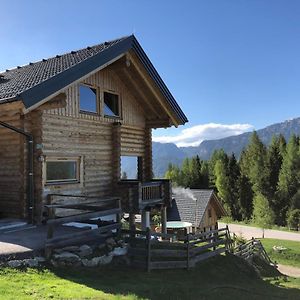 Villa Ferienhaus Stoiser à Pruggern Exterior photo