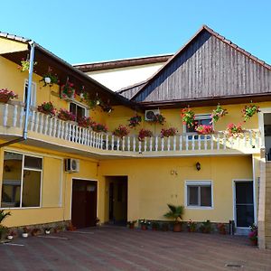 Hotel Pensiunea Alexander à Arad Exterior photo