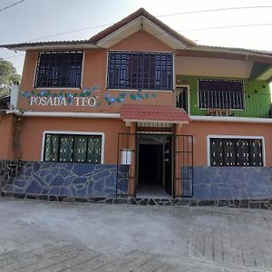 Aparthotel Posada Teo à Xilitla Exterior photo