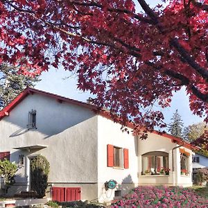 Bed and Breakfast Lindo Lugar - Just A 7 Minute Walk From The Airport à Meyrin Exterior photo