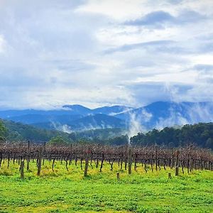 Villa Kinam Vinea - A Vineyard Farmhouse In The Yarra Valley à Gladysdale Exterior photo