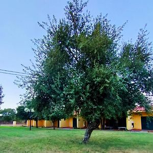 Villa Nuraghe Ruiu Camping & Bungalow à Norbello Exterior photo