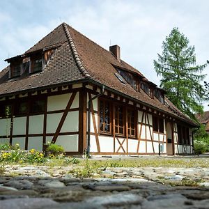 Hotel Schloss Hohenfels/ Gaestehaus Morgenrot à Hohenfels  Exterior photo