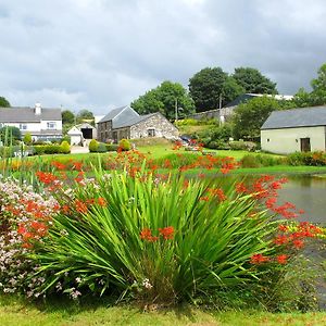 Bed and Breakfast Polhilsa Farm à Callington Exterior photo