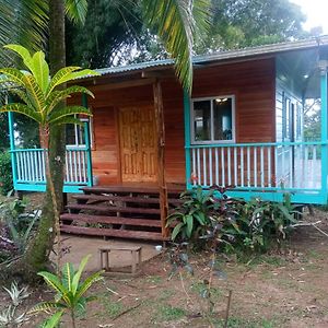 Villa The Bamboo House à Bocas del Toro Exterior photo