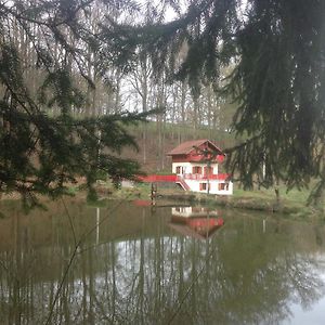 Villa Gite du creux de la goutte à Xertigny Exterior photo