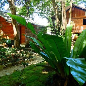 Santi Garden Bungalows Iboih Exterior photo