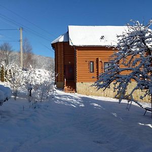 Villa Вікенд à Yaremtche Exterior photo