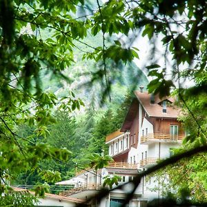 Albergo San Carlo Ormea Exterior photo