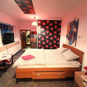 Hostel Pascalis Alesd Room photo