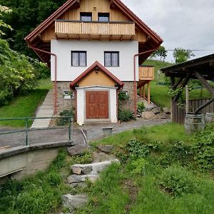 Villa Bioferienhaus Muster - Dominkusch à Possnitz Exterior photo