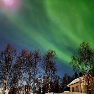 Villa Cabin Magic On Senja, Atmosphere Like A Fairytale à Botnhamn Exterior photo