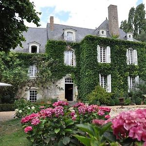 Hotel La Marronniere à Cheffes-sur-Sarthe Exterior photo