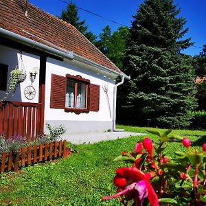 Hotel Őrség Kincse Nagy Apartman - 6 főre à Hegyhátszentjakab Exterior photo