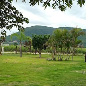 Room In Guest Room - Lodging And Tranquility Tlaquiltenango Exterior photo