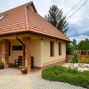 Hotel Mézes Vendégház és Apiterápiás központ à Vizsoly Exterior photo