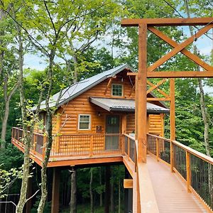 Villa Treehouse #7 By Amish Country Lodging à Millersburg Exterior photo