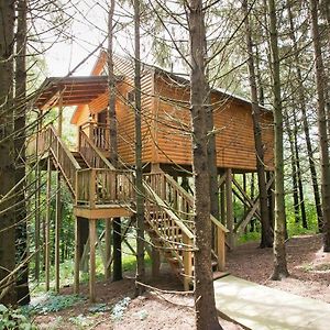 Villa Whispering Pines Treehouse By Amish Country Lodging à Millersburg Exterior photo