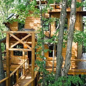 Villa Treehouse #2 By Amish Country Lodging à Millersburg Exterior photo