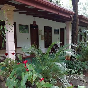 Sigiri Jungle Villa Sigirîya Exterior photo