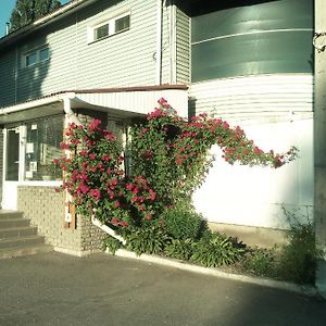 Motel Pid Strihoyu Krementchouk Exterior photo