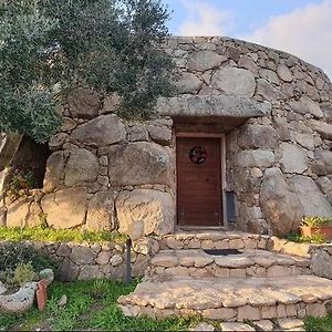 Bed and Breakfast Il Nuraghe Del Lago Coghinas à Oschiri Exterior photo