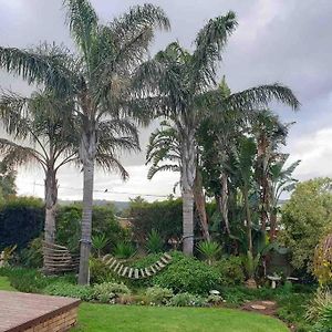 Open Living Family Home In The Winelands Le Cap Exterior photo