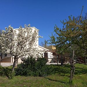 Bed and Breakfast Sotto L'Ulivo à Mondavio Exterior photo