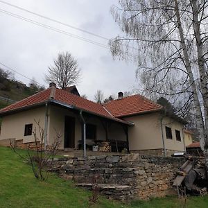 Villa Kuca Za Odmor - Martic, Rudno, Golija à Kraljevo Exterior photo
