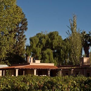 Hotel Posada Verde Oliva à Maipú Exterior photo